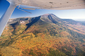 20121003-leaf_peep-046-Edit.jpg