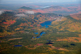 20121003-leaf_peep-070_1_2.jpg