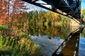 20131005-foliage-026_27_28_29_30-Edit.jpg