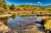 20140926-blueberry_ledges-001_2_3_4_5-Edit.jpg