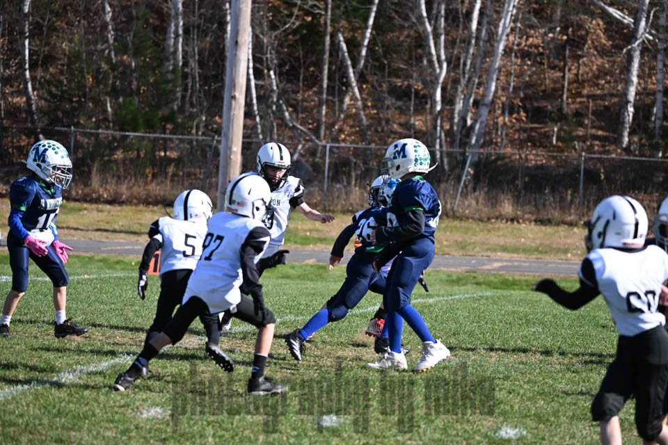 20241027-LG24-6163.jpg