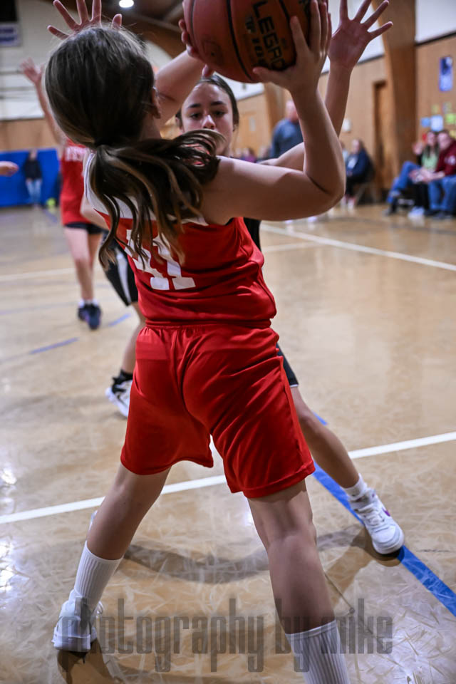 20241118-LPBB-2128.jpg