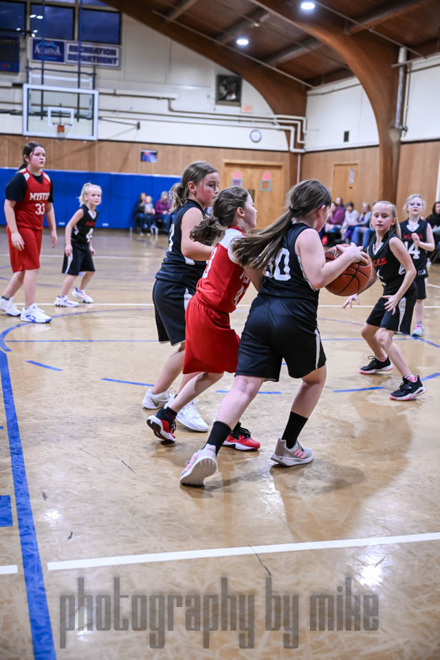 20241118-LPBB-1260.jpg