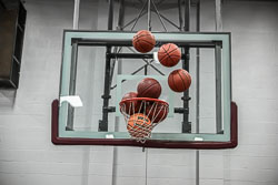 20250202-LPBB_ASB-0647.jpg