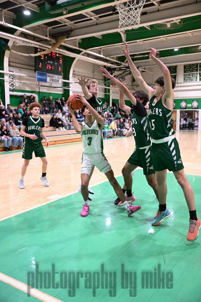 20250129-Schenck-HSBB-1037.jpg