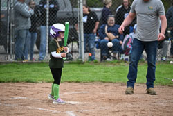 20250518-LLBB-10304.jpg