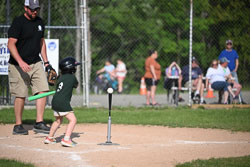 20250616-LLBB-10063.jpg