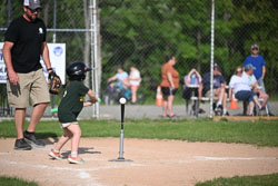 20250616-LLBB-10065.jpg