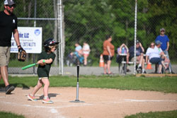 20250616-LLBB-10078.jpg
