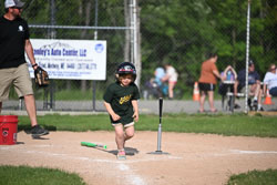 20250616-LLBB-10106.jpg