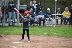 20250518-LLBB-11038.jpg