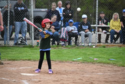 20250518-LLBB-11040.jpg