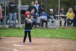 20250518-LLBB-11044.jpg