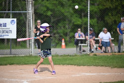 20250616-LLBB-09321.jpg