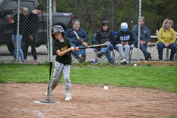 20250518-LLBB-13799.jpg