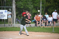 20250616-LLBB-05715.jpg