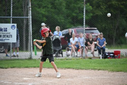 20250619-LLBB-12382.jpg