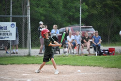 20250619-LLBB-12390.jpg