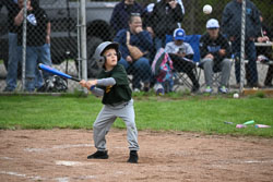 20250518-LLBB-10121.jpg