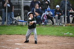 20250518-LLBB-10125.jpg