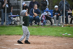 20250518-LLBB-10144.jpg