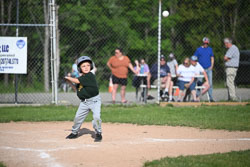 20250616-LLBB-10223.jpg