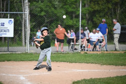 20250616-LLBB-10225.jpg