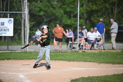 20250616-LLBB-10227.jpg