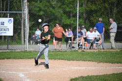20250616-LLBB-10230.jpg