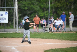20250616-LLBB-10242.jpg