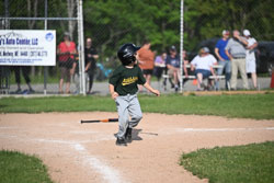 20250616-LLBB-13720.jpg