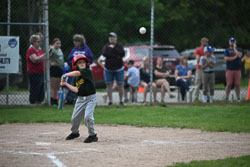 20250619-LLBB-08379.jpg