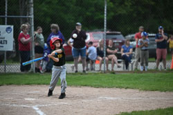 20250619-LLBB-08381.jpg