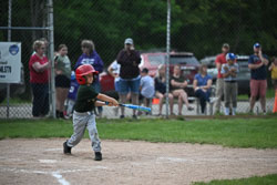 20250619-LLBB-08390.jpg