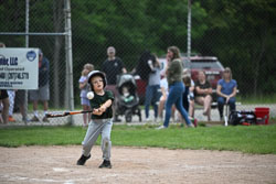 20250619-LLBB-11447.jpg