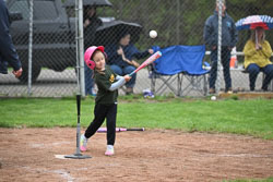 20250518-LLBB-14846.jpg