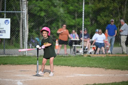 20250616-LLBB-09775.jpg
