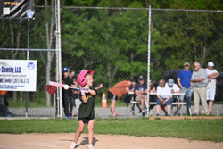 20250616-LLBB-13829.jpg
