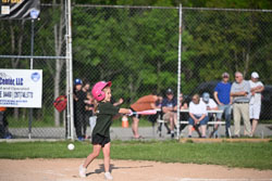 20250616-LLBB-13837.jpg