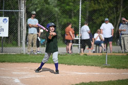 20250616-LLBB-06266.jpg