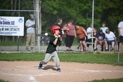 20250616-LLBB-05946.jpg