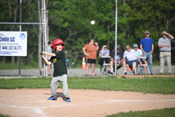 20250616-LLBB-10813.jpg