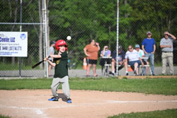 20250616-LLBB-10815.jpg