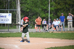 20250616-LLBB-10817.jpg