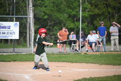 20250616-LLBB-10822.jpg