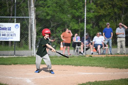 20250616-LLBB-10831.jpg