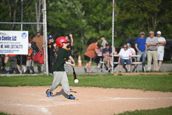 20250616-LLBB-13941.jpg