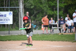 20250616-LLBB-06967.jpg