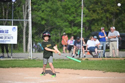 20250616-LLBB-13033.jpg