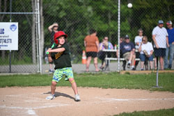 20250616-LLBB-07082.jpg